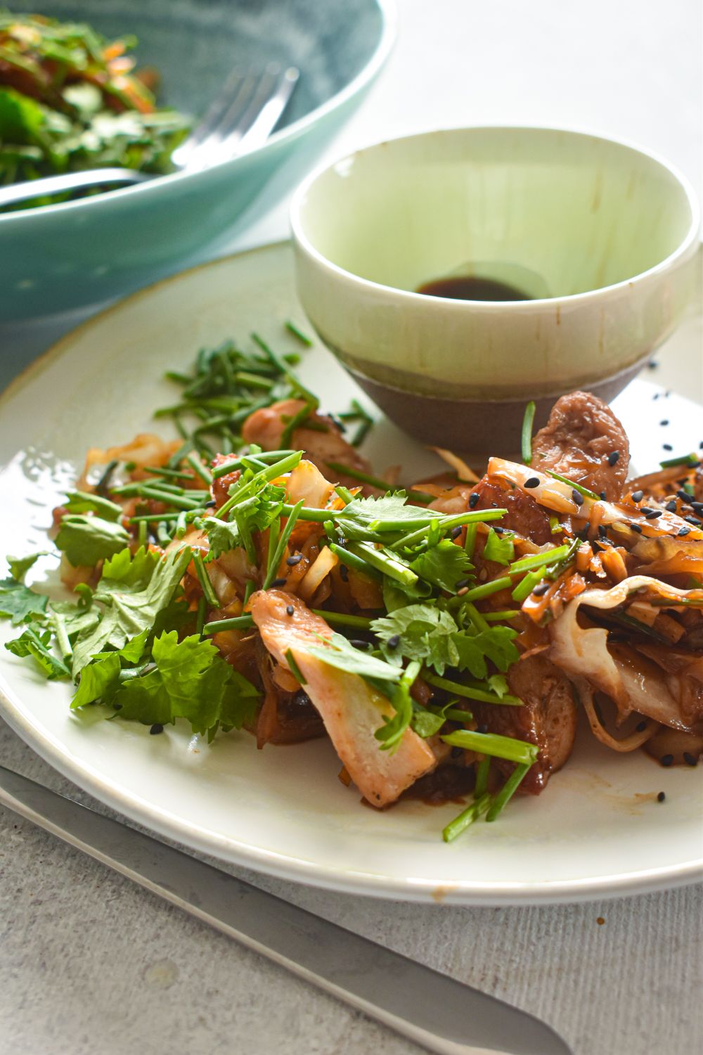 Cabbage chicken stir fry with a homemade stir fry sauce on a plate with cilantro and sesame seeds.