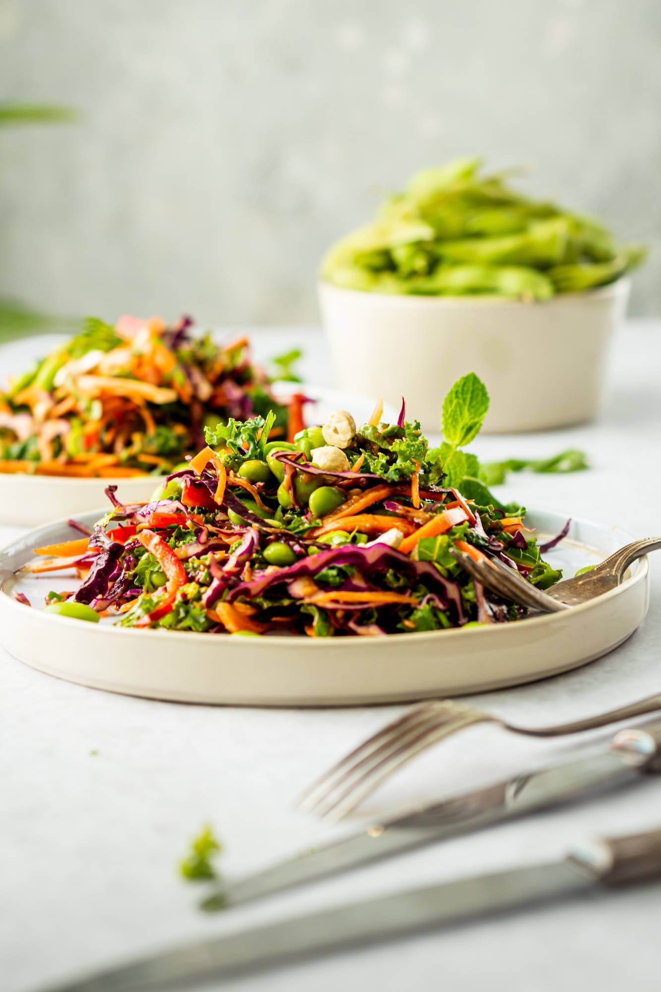 Asian edamame salad with shelled edamame, red cabbage, kale, bell peppers, mint, cilantro, and peanut dressing on a plate.