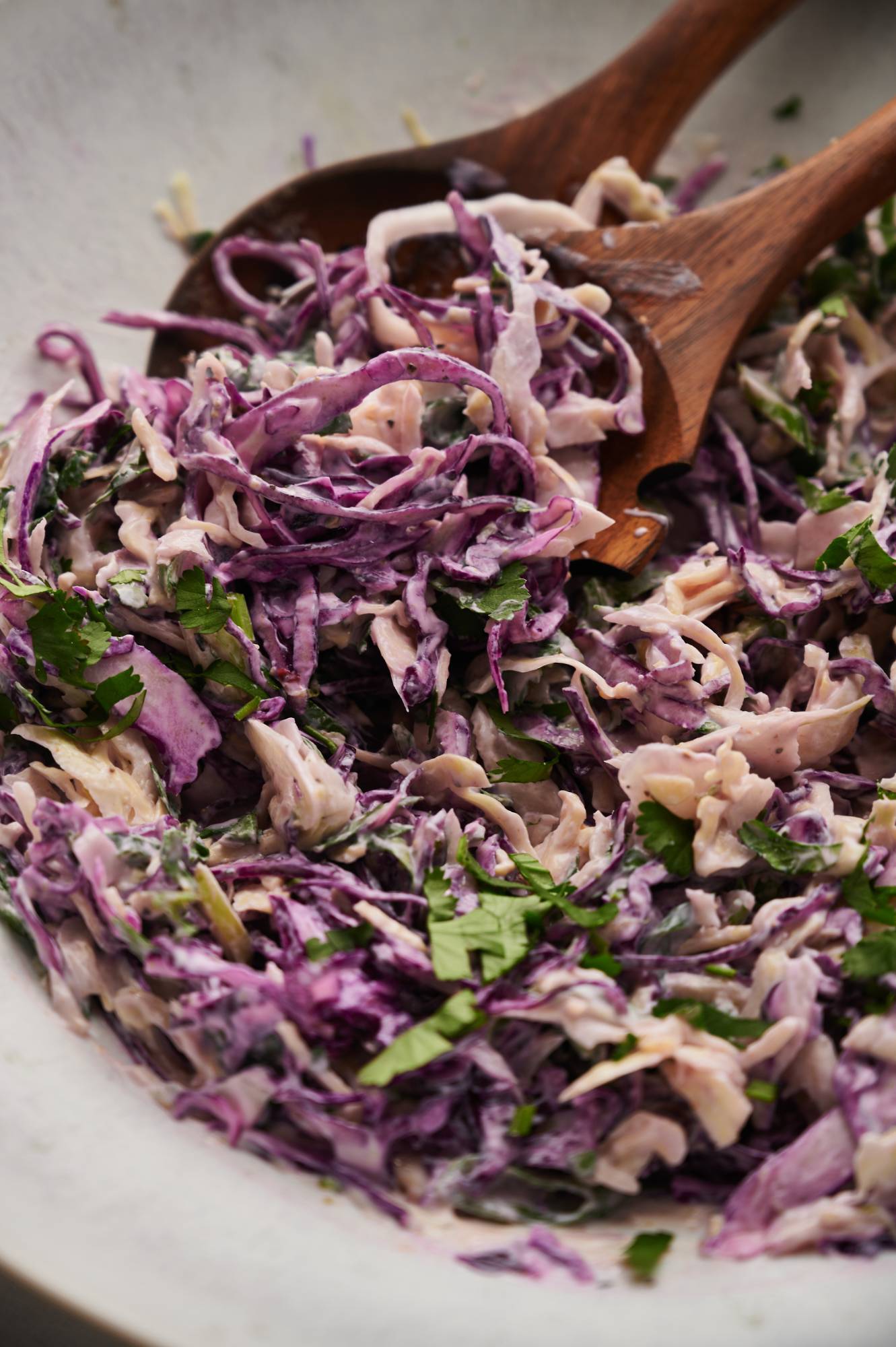 Cabbage fish taco slaw with green cabbage, red cabbage, cilantro, and green onion in a creamy lime dressing.