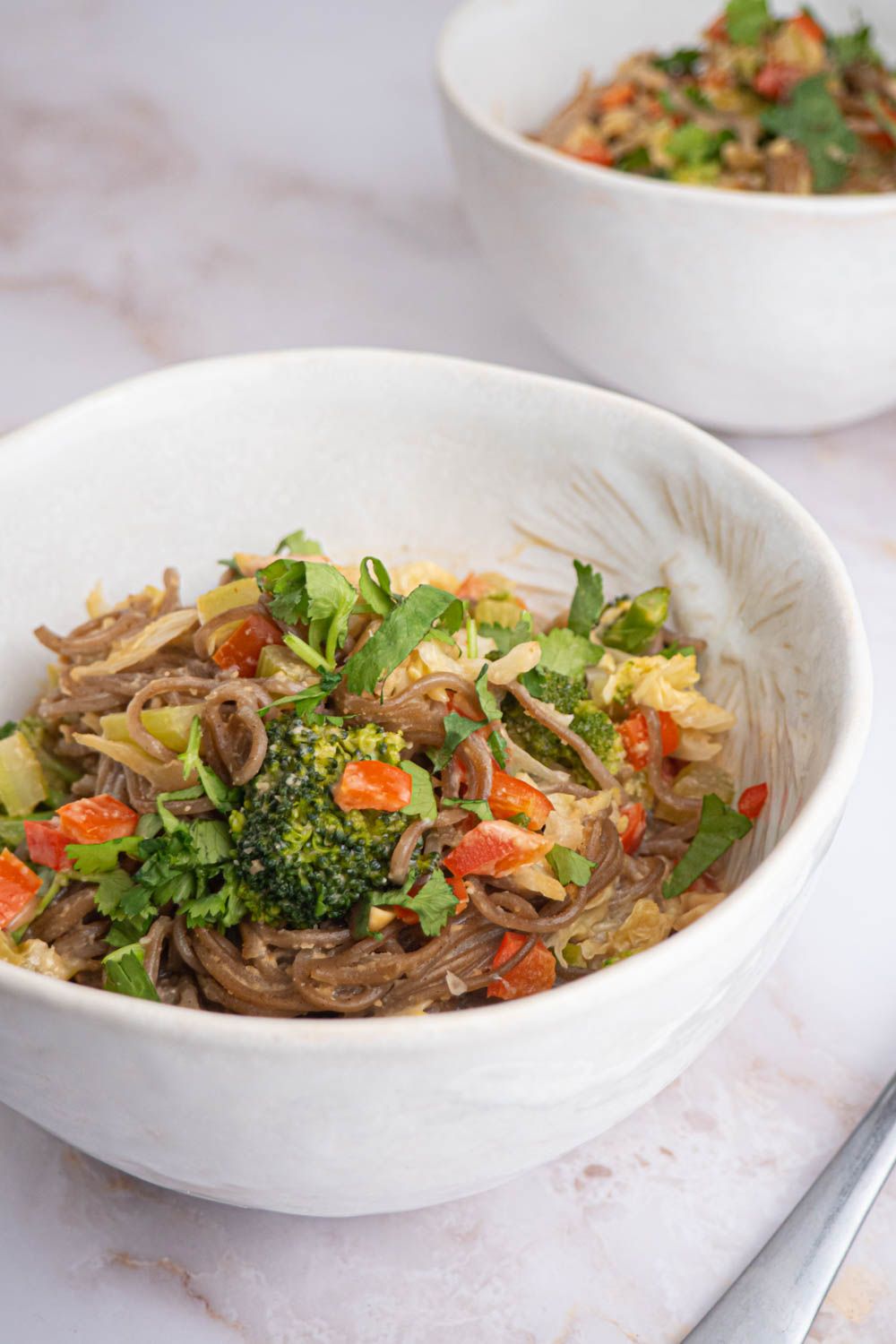 Peanut noodles with various vegetables and soba noodles in a healthy peanut sauce.