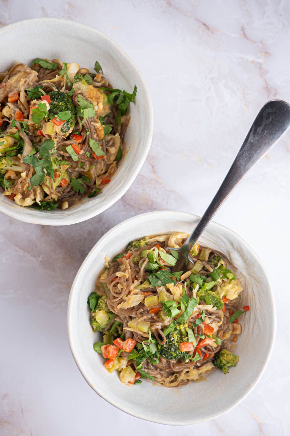 Healthy peanut noodles with a light peanut sauce, soba noodles, and vegetables in a bowl.