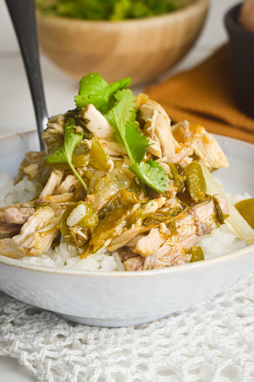 Chicken chile verde in a bowl with tomatillos, chile peppers, onions, garlic, white rice and cilantro.