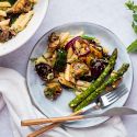 Grilled vegetable pasta salad with balsamic dressing, mushrooms, zucchini, asparagus, red onion, and herbs on a plate.