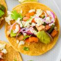 Vegetable tostadas on a plate with zucchini, eggplant, peppers, cheese, and avocado.