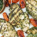 Pesto chicken cooked on the grill with cherry tomatoes and extra pesto sauce.