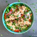 Spicy grilled chicken salad with spinach, red pepper, onions, cucumber, and celery in a yogurt dressing.