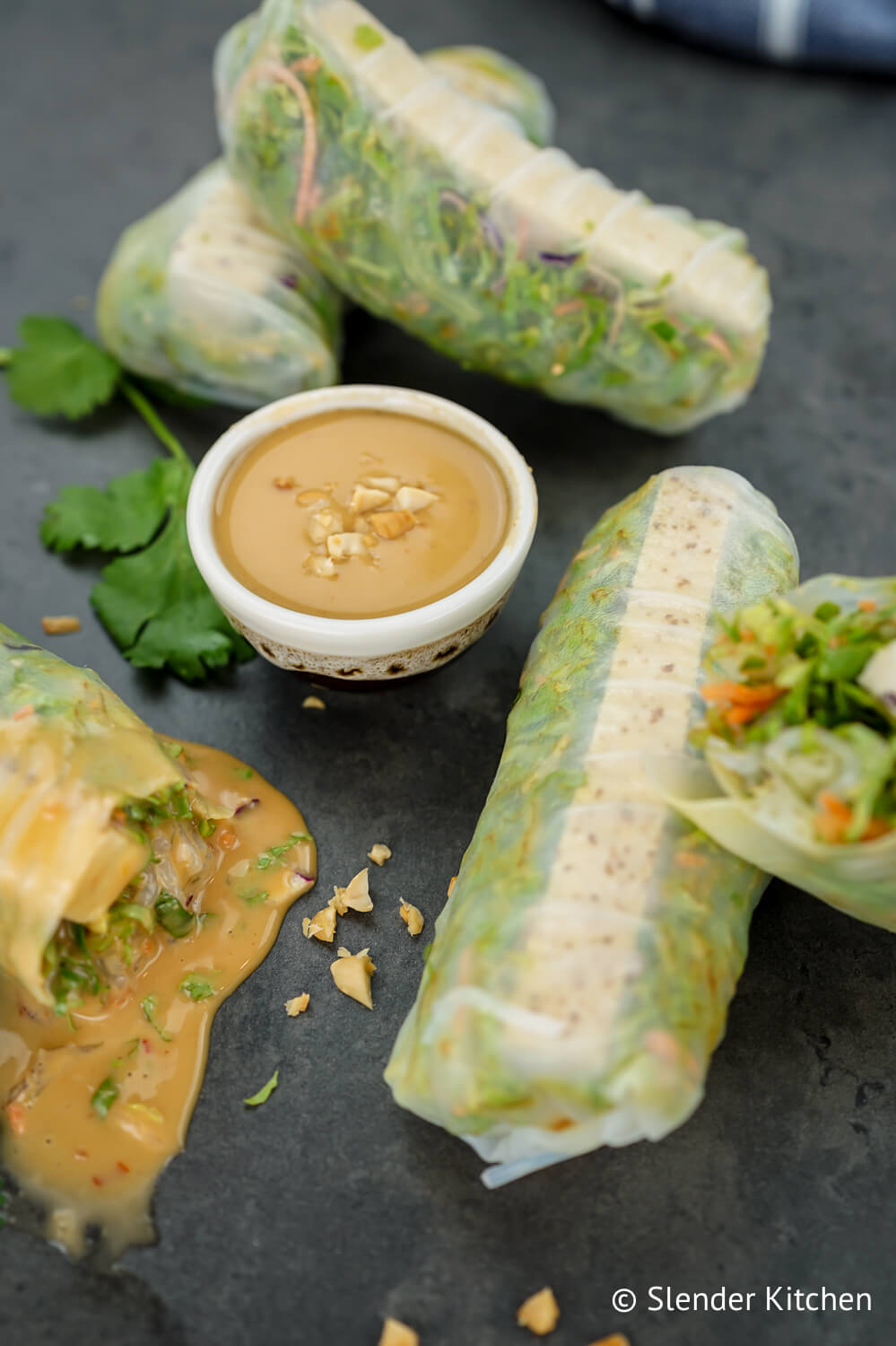 Spring Rolls | Fun Facts Of Life