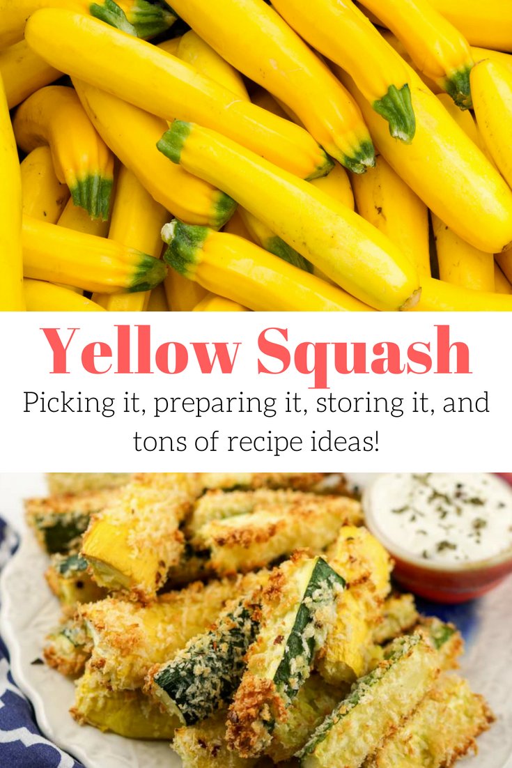 Yellow Squash: Why You Should Start Eating This Veggie Now - Slender ...