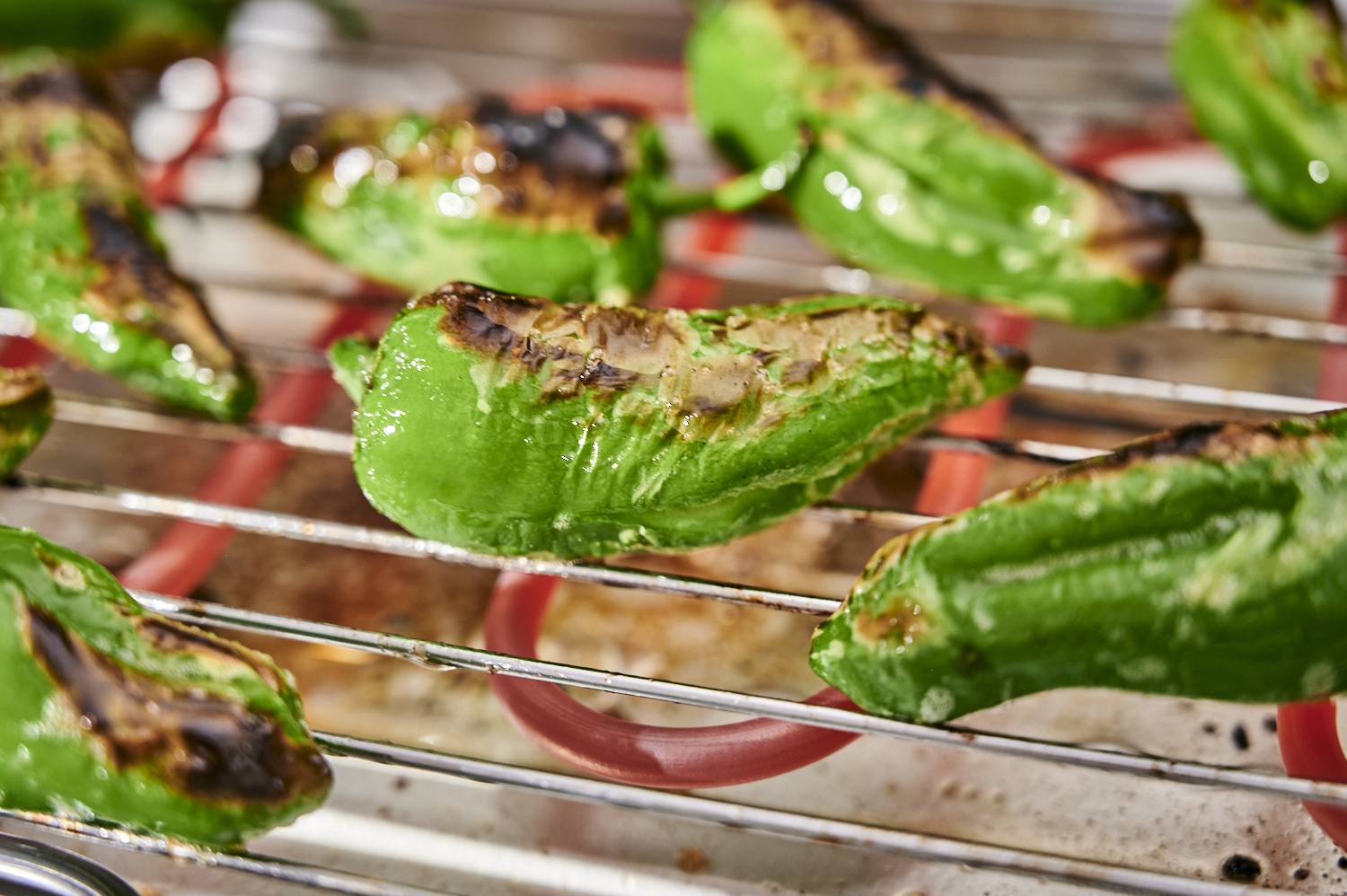 Shishito peppers on the grill with charred, blistered skins.