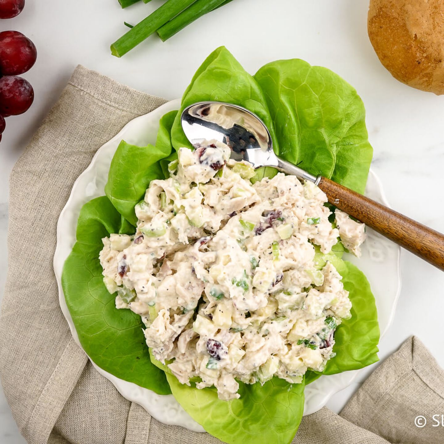 Cranberry chicken salad with apples in a white bowl with a spoon.