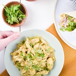 Slow cooker salsa verde chicken in a bowl with shredded chicken, green salsa, and fresh cilantro.