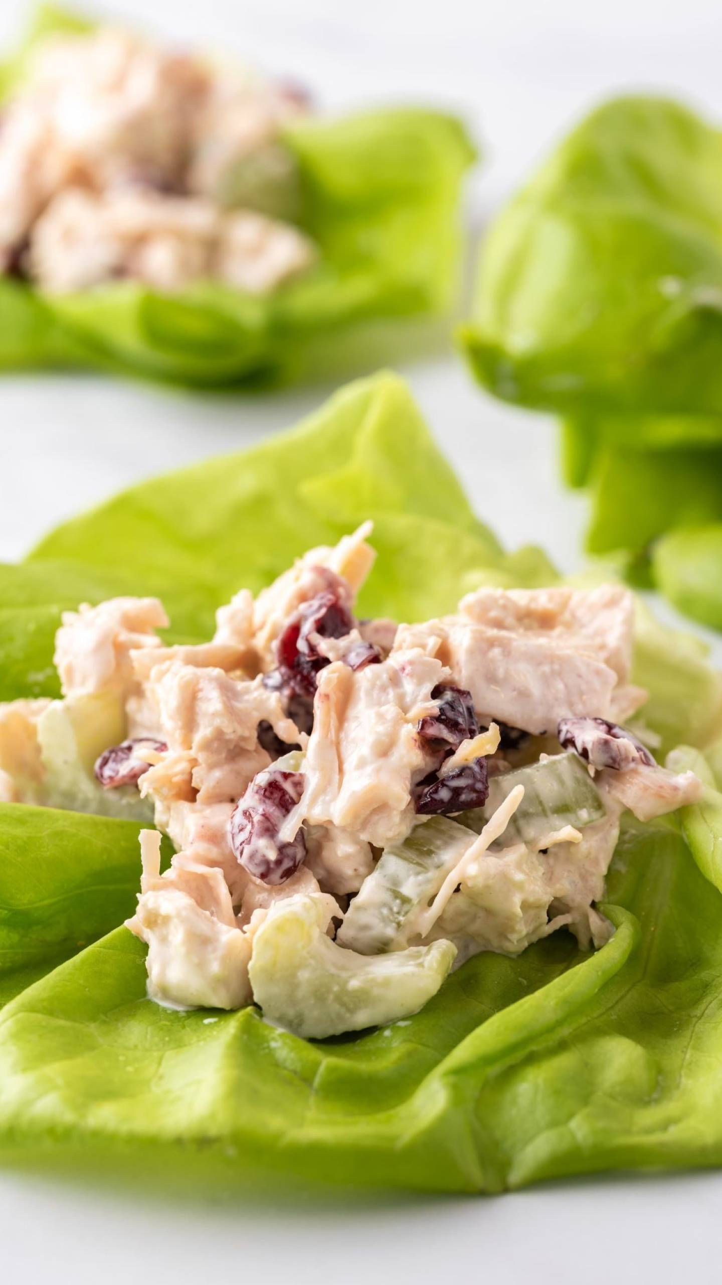 Waldorf Chicken Salad Wrap Bento Box Recipe